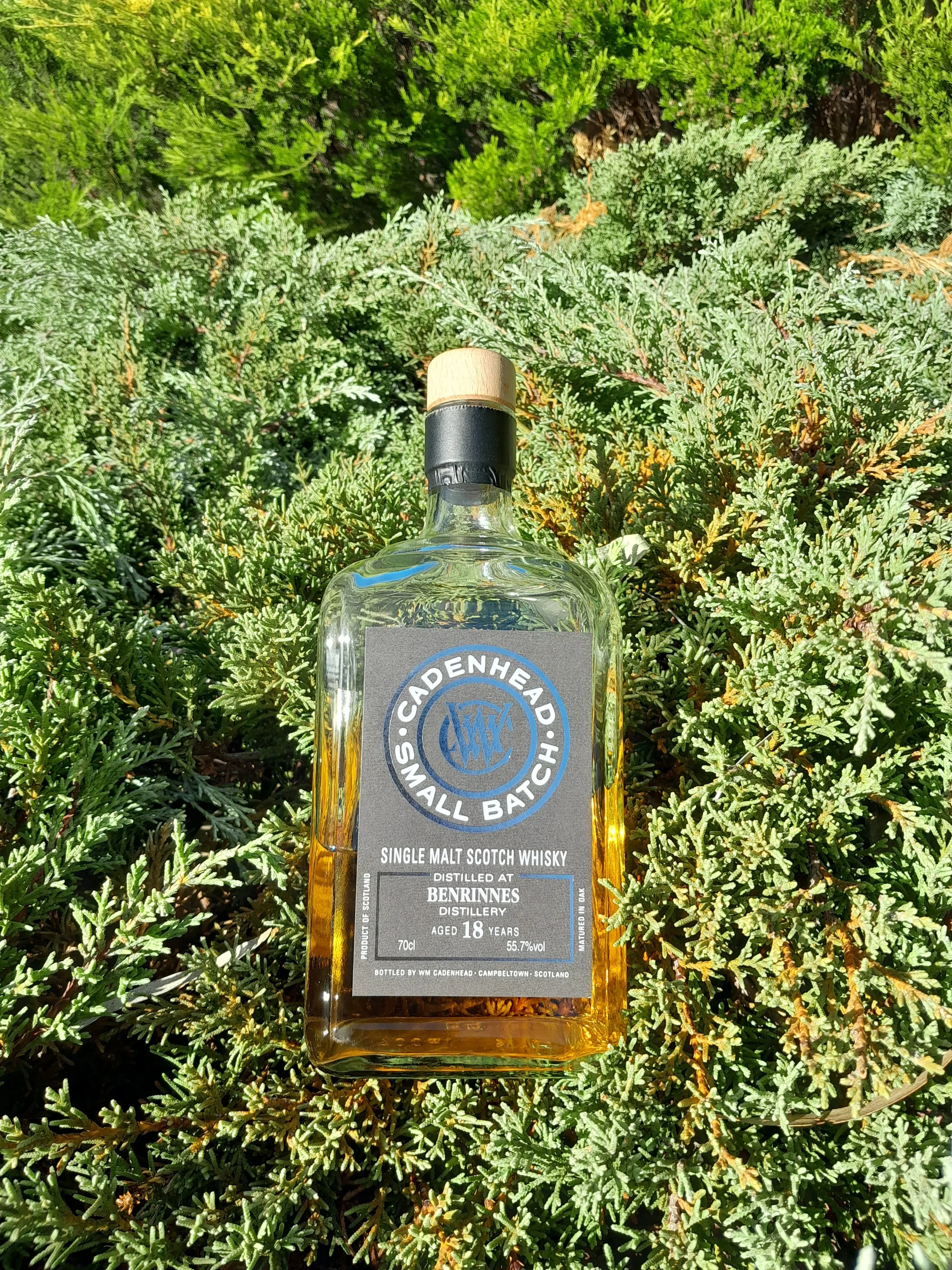 Cadenhead's Benrinnes 18yo — Dramface